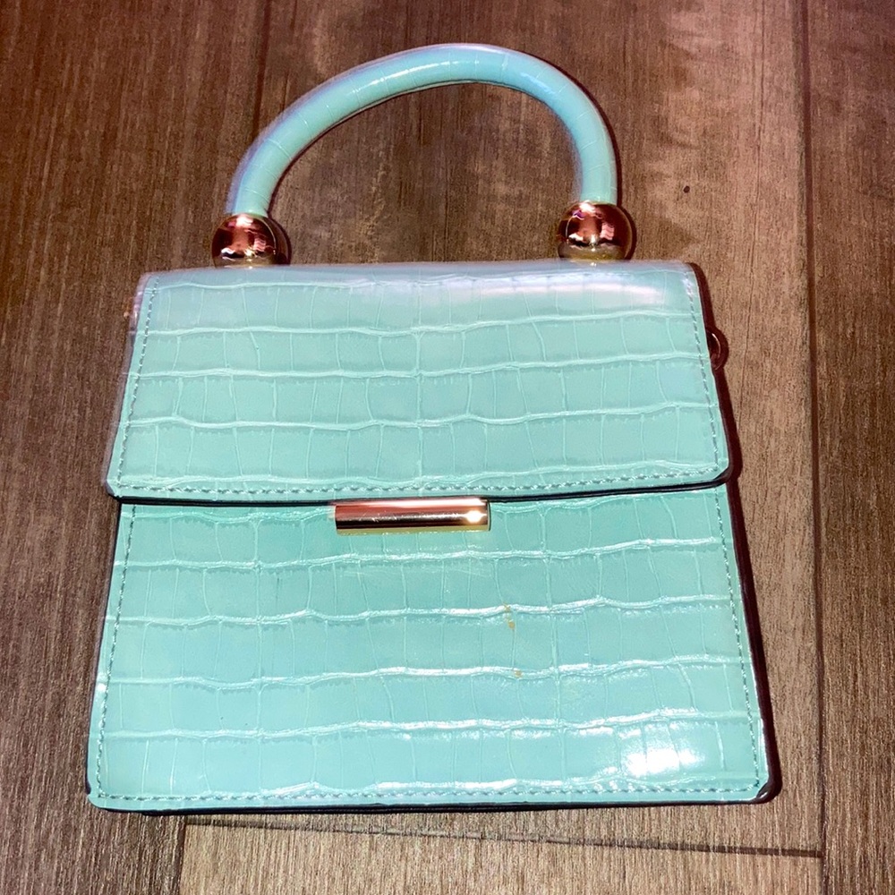 Brand new ALDO crossbody hand bay